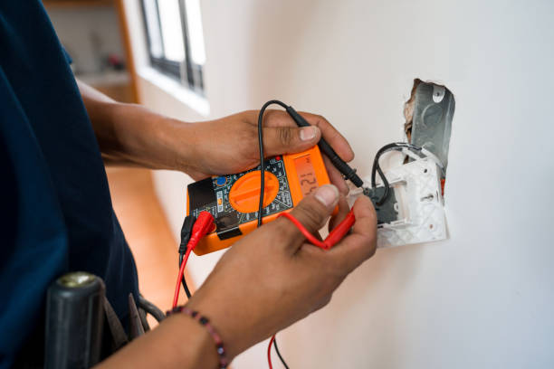 Best Licensed Electrician  in Fowler, MI