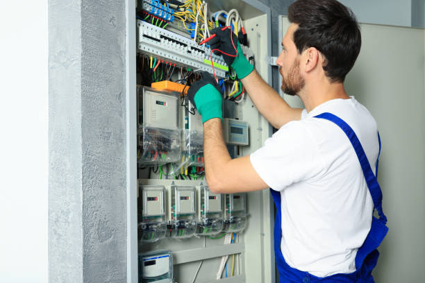 Best Affordable Electrician  in Fowler, MI