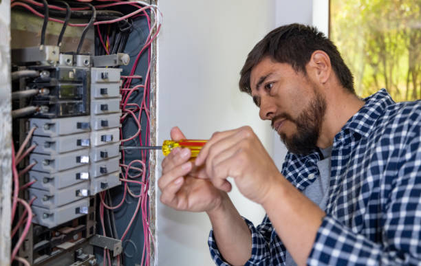 Best Generator Installation Services  in Fowler, MI